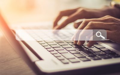 Is SEO Still Relevant with AI “No-Click” Search?